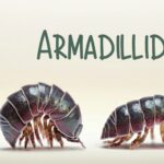 Armadillidium gli spazzini del terreno: cosa sono e a cosa servono