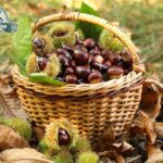 Come sbucciare facilmente le castagne crude e cotte: trucchi e errori da non fare