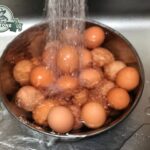 Le uova si devono lavare?